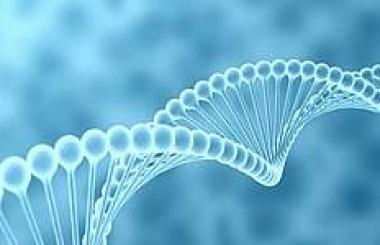 武漢網站建設需要多少錢？