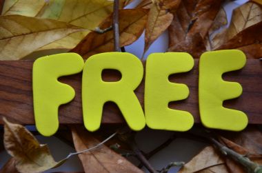 網站SEO優化 網站SEO優化